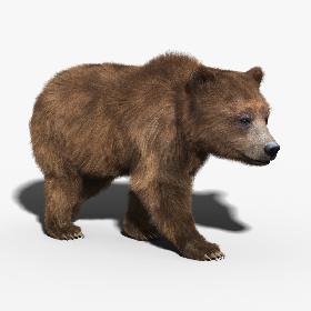 Brown Bear(FUR)(RIGGED)